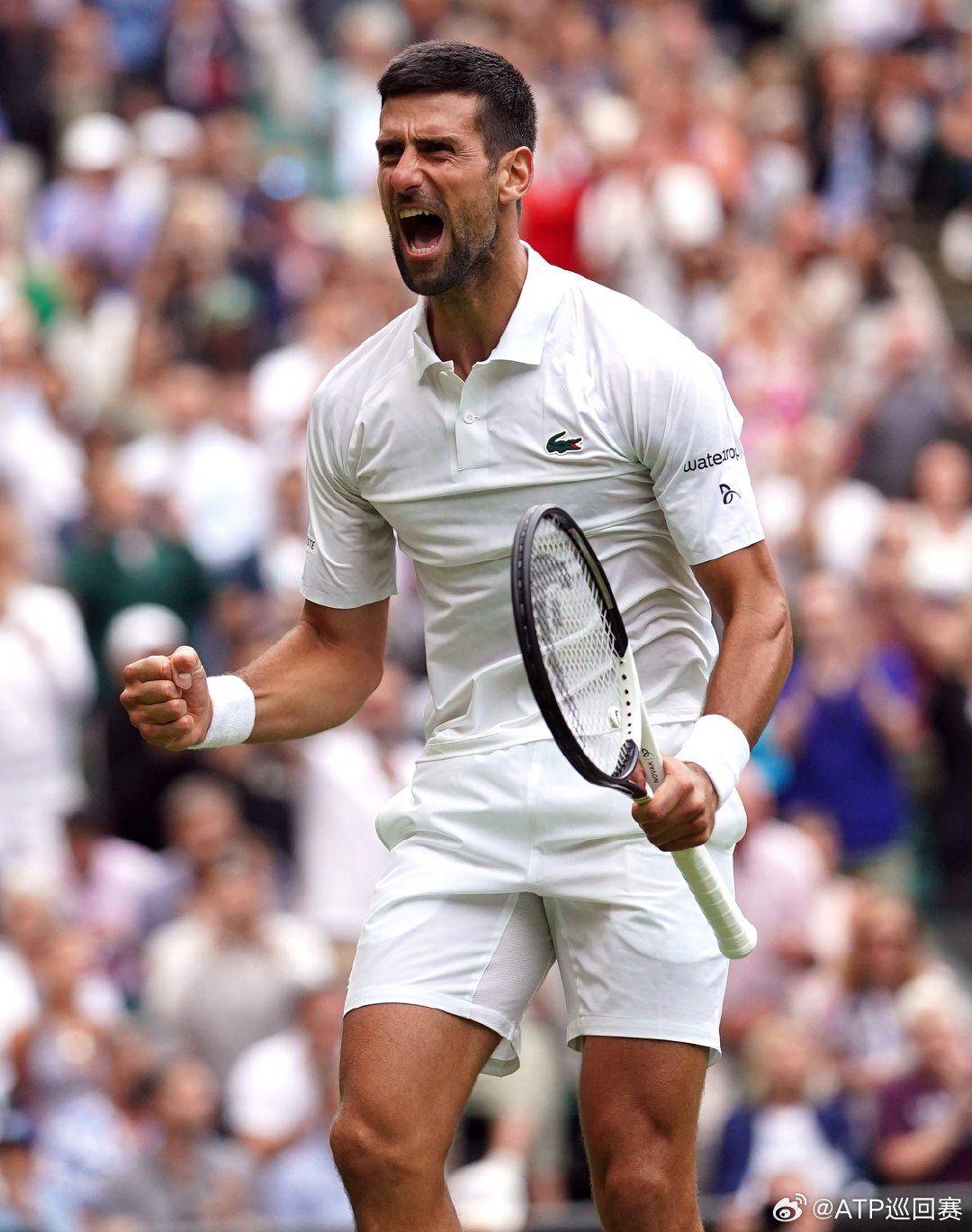 热血沸腾 热血沸腾